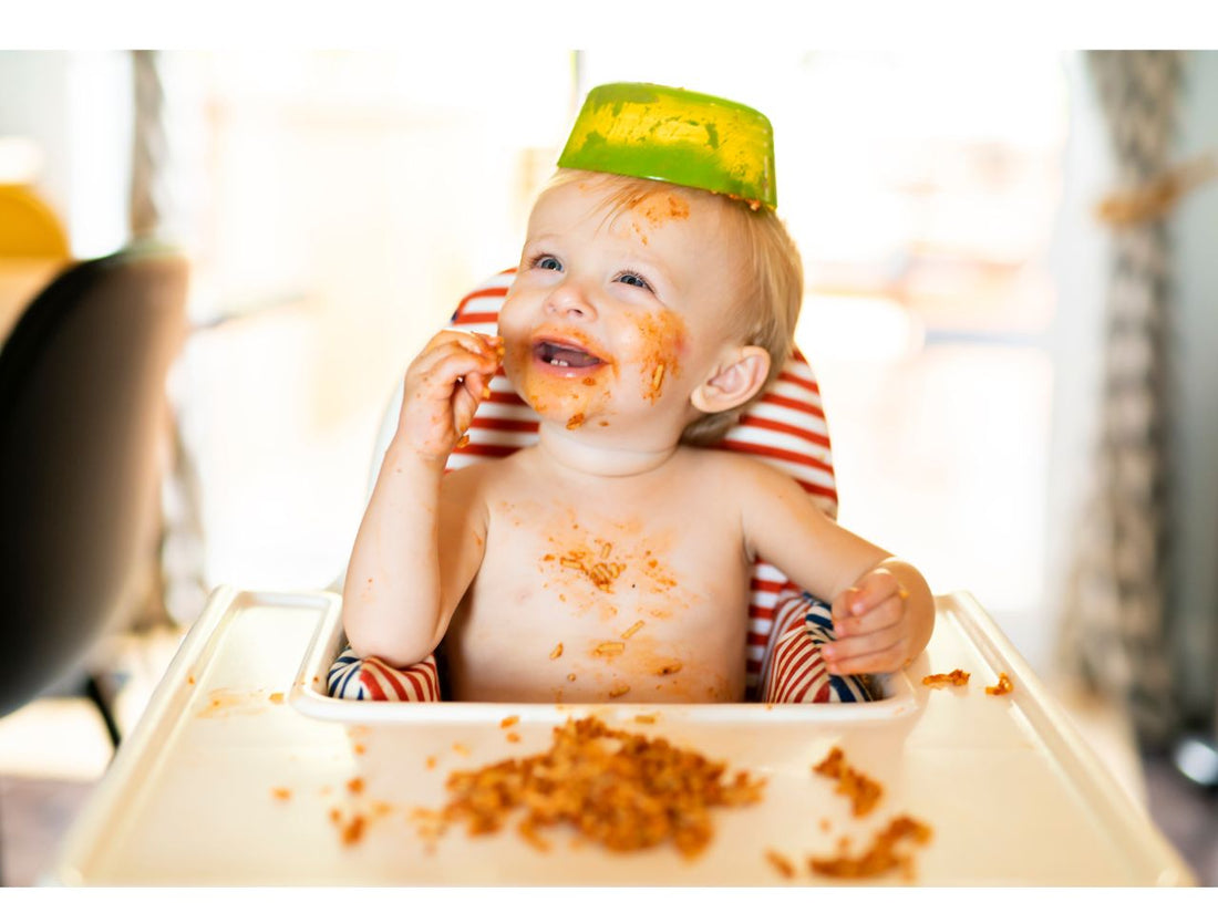 Tips for Choosing Baby Bowls That Stay Put
