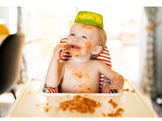 Tips for Choosing Baby Bowls That Stay Put
