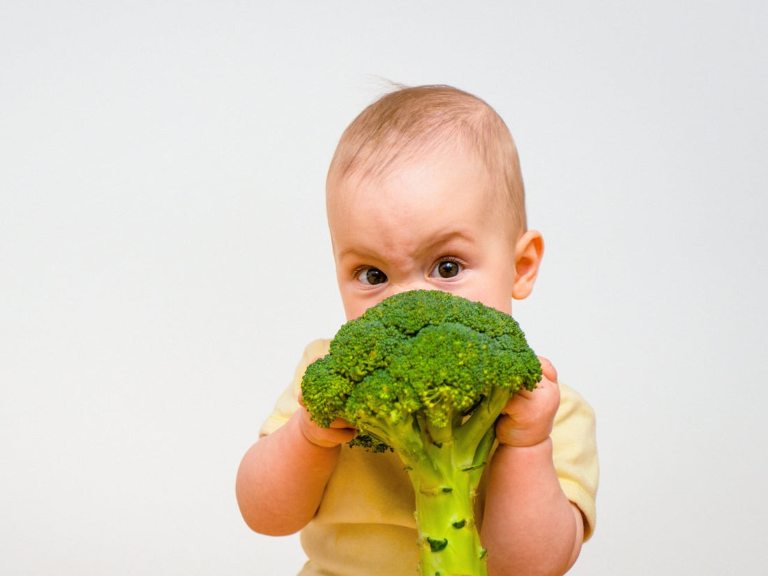 Creating Balanced Meals for Toddlers
