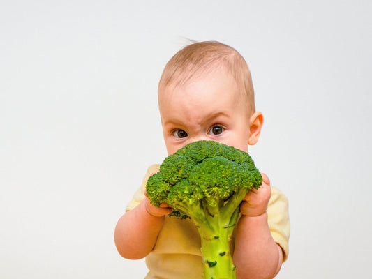 Creating Balanced Meals for Toddlers