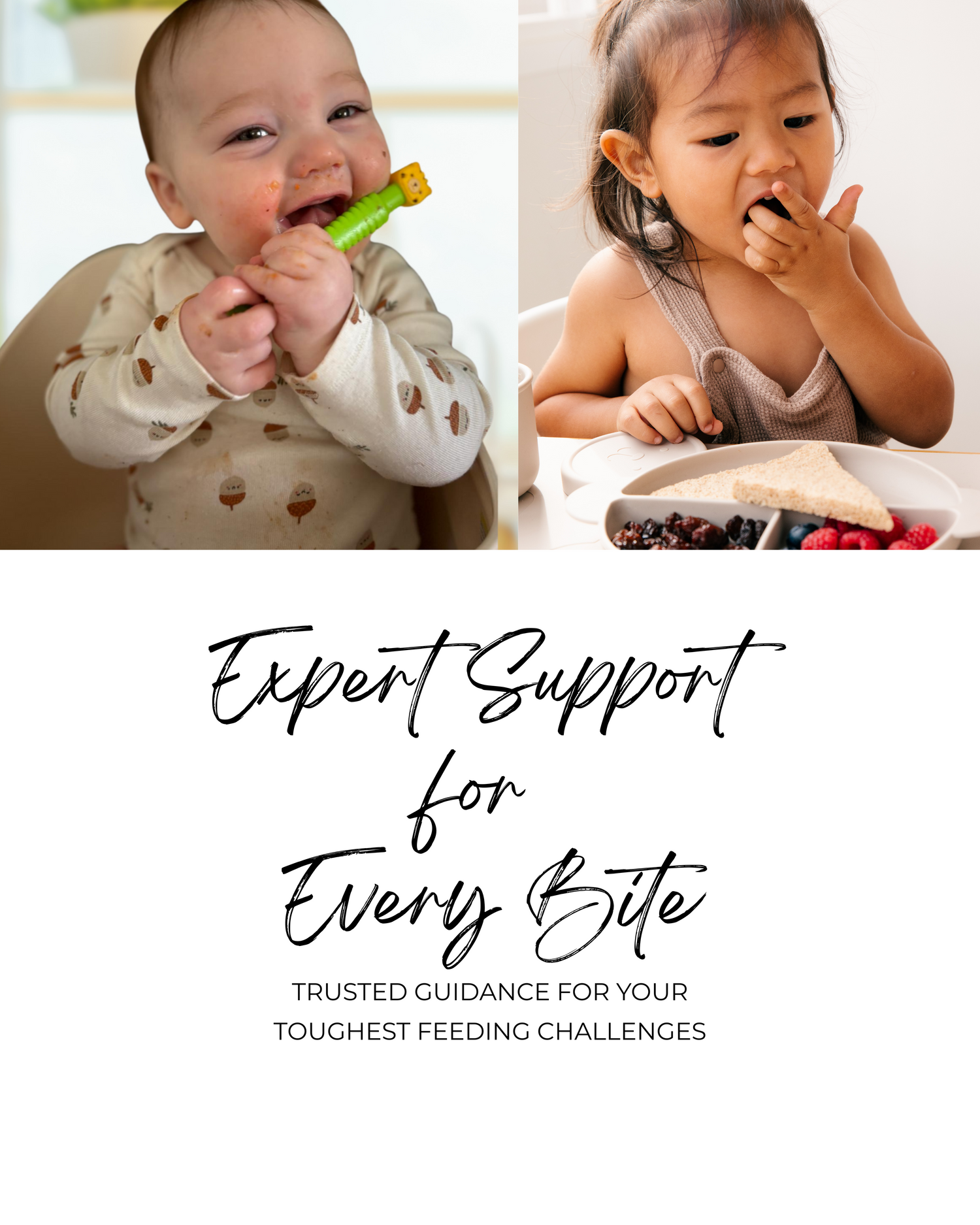 Expert Support for Every Bite (1800 x 900 px) (Instagram Post (45)).png__PID:2e238bb6-2720-44b2-b3d8-c89b17c4668d